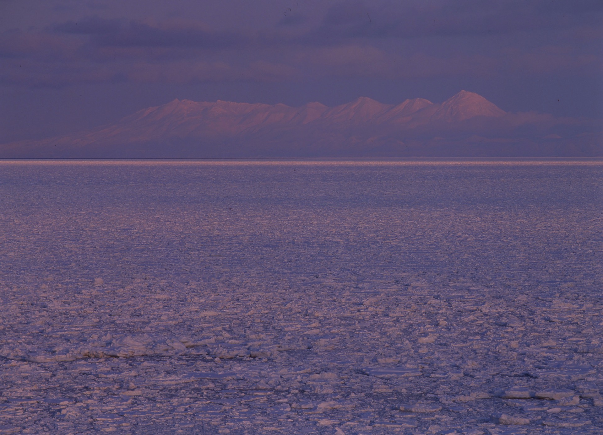 流氷に覆われるオホーツク海　写真提供：（一社）網走市観光協会